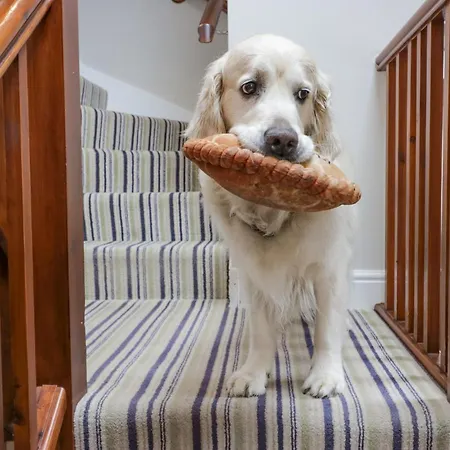Holme Fell Nyaraló Coniston
