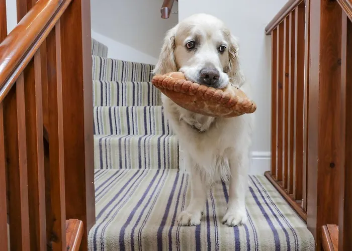 Holme Fell بيت للعطل كونيستون